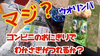 【ワカサギ釣り】河口湖　コンピニのおにぎりでワカサギが釣れるかさぁ