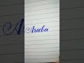 stylish areeba name shorts writing