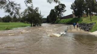 Macintyre River Rises After Heavy Rain