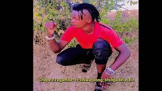 Chepe nzagamba ft shiwa song_bhinga bha lelo