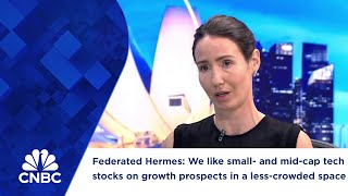 Federated Hermes: We like small- and mid-cap tech stocks on growth prospects in a less-crowded space