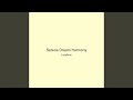 Serene Dream Harmony