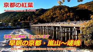 【京都の紅葉】京都・嵐山～嵯峨の紅葉　早朝の様子（2024年11月9日　京都市西京区・右京区）　Autumn leaves in Arashiyama, Kyoto, early morning