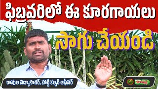 ఫిబ్రవరిలో ఈ  కూరగాయలు సాగు చేయండి | what vegetable season is february