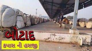 🟢 Botad Kapas na bhav | 23-01-2025 |બોટાદ કપાસના ભાવ:2024 | Information about cotton crop price |