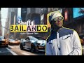 Bailando By Shaffy (Official Video Lyrics)