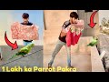 1 Lakh ka Green parrot Pakra🦜How to Parrot at Home 🏡||Hammad Pet House