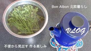 【北欧VLOG】不便な中に見出す暮らしの楽しみ｜蕨の森｜手打ちうどん｜ヴェントゥラ家の食卓