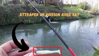 ATTRAPER UN POISSON AVEC SA ? +BONUS FINALE