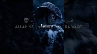 allah ne tumhari maut ka waqt #trending #shortvideos #shorts #short #shortfeed #shortvideo #islam