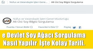 E Devlet Soy Ağacı Nasıl Bakılır ? Soy ağacı Erişimi ve Soy Ağacı Sorgulama