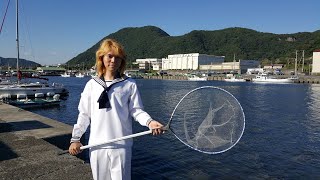 岸壁幼魚採集家・鈴木香里武のYouTubeチャンネル紹介映像2020