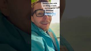 Spend a day with us doing a work exchange in Portugal! #worldpackers #shorts