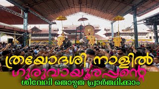 ത്രയോദശി ദിനത്തിൽ ഗുരുവായൂരപ്പന്റെ ശീവേലി തൊഴുത് പ്രാർത്ഥിക്കാം | 25/11/2023 |