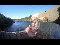 finnmark dryfly salmon