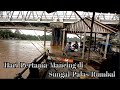 Hari pertama mancing di sungai Palas daerah Rumbai-Siak #mancing #ikan #viral