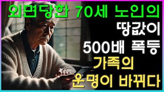 외면당한 70세 노인의 땅값이 500배 폭등, 가족의 운명이 바뀌다