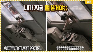 아니 내가 지금 뭘 본거야.. 두 눈을 의심하게 만드는 혼란한 장면들ㄷㄷ