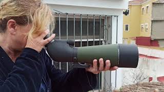 Fiona's first go with her new Christmas Scope.