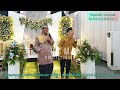 ceramah lucu pernikahan ustadz subki albughury ustadz subki albughury