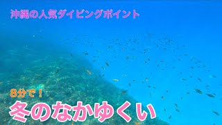 【沖縄】8分でわかるなかゆくい〜冬の沖縄の海中映像