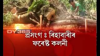 Forest || Destruction || Rihabari || Forest Colony || Guwahati || Assam