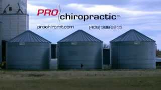 Pro Chiropractic Reviews - Chiropractor in Bozeman, Montana - Paul