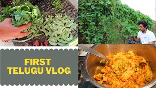 My First Telugu vlog\Telugu vlogs from USA\What we did on a regular saturday\Chit chat\telugu vlog