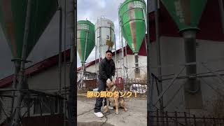 なんだこのタンク　#shorts #北海道農業