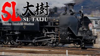 【鉄道vlog】東武鉄道 SL大樹 下今市駅 (特急リバティ連結シーン、スペーシアXも少々)