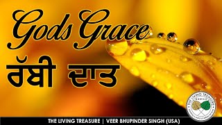 God's Grace | ਰੱਬੀ ਦਾਤ | ਹਮ ਨਿਰਗੁਨ ਤੂ ਦਾਤਾ  | Veer Bhupinder Singh