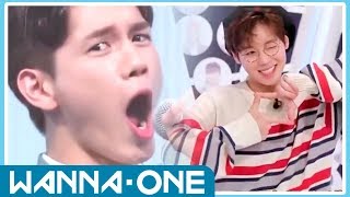 WANNA ONE FUNNY AND CUTE MOMENTS