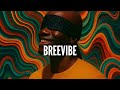 Afrobeat Instrumental 2025 ✨ BREEVIBE | Ayra Starr × Omah Lay Type Beat
