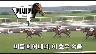 2017 킷카상 - 키세키 / 폭풍 속에서 빛나줘