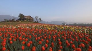 Anhui's Chao Lake