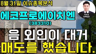 에코프로에이치엔(383310) - 음 외인이 대거 매도를 했습니다.