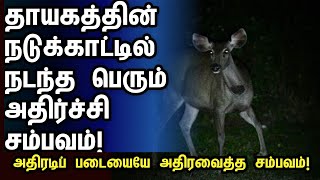 முல்லைத்தீவு காட்டில் நடந்த அதிர்ச்சி | #news #mullaitivunews #jaffnanews #archchuna #canada