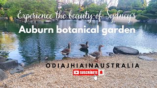 Australiaରେ ଏମିତି ପାର୍କ କେବେ ଦେଖିନଥିବେ ‼️Auburn Botanical Garden #odiajhiainaustralia #odiavlogs