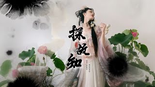 淺影阿  熱門古風《探故知》「萬花開遍不及你歸時...」  [Chinoiserie] ♫ 古風歌曲♫動態歌詞♫