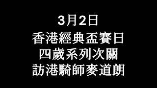 賽馬貼士 沙田 田泥草 星期日 2025年3月2日 香港經典盃賽日 四歲系列次關 訪港騎師麥道朗 分析 貼士 推介