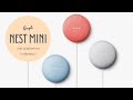 Google Nest Mini 2nd Generation Unboxing and Setup