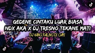 DJ GEDENE CINTAKU LUAR BIASA (NDX AKA) X TRESNO TEKANE MATI DJ PALING DI CARI VIRAL TIKTOK 2025