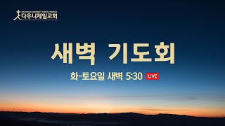 2025.1.28 새벽 기도회_빛되신 예수를 따르는 삶(요 8:12-20)_이미란 목사