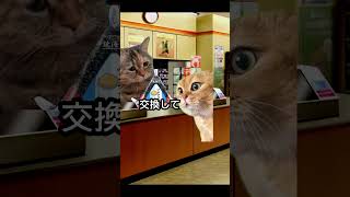 コンビニバイト中の出来事 #猫ミーム #Shorts