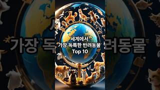 세계에서 가장 독특한 반려동물 Top 10 #지식