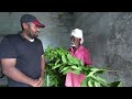 பட்டுப்புழு வளர்ப்பு sericulture method pattu pulu valarpu in tamil no money