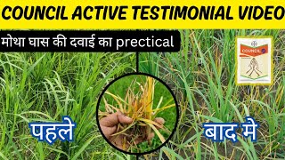 Council active herbicide Testimonial video || मोथा घास पर लाइव रिजल्ट्