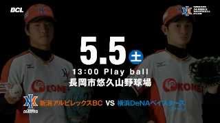 新潟アルビレックスＢＣ5月5日6日告知ＣＭ .wmv