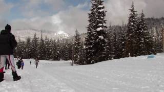 Nordic Skiing Technique - Traditional Style - Diagonal Stride