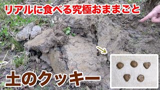 究極のおままごと！「土」のクッキー食べる